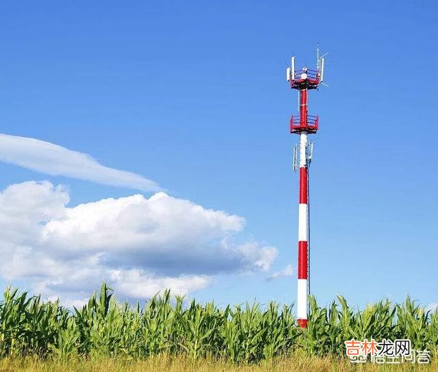网速太慢是怎回事（手机信号满格网速很差)