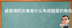 戚薇演的友善是什么电视剧里的角色?