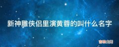 新神雕侠侣里演黄蓉的叫什么名字?