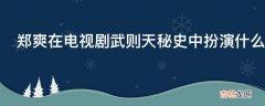 郑爽在电视剧武则天秘史中扮演什么角色?