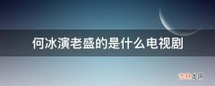 何冰演老盛的是什么电视剧?