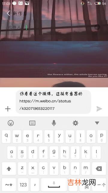 怎样下载微博上的秒拍视频(微博下载无水印视频)