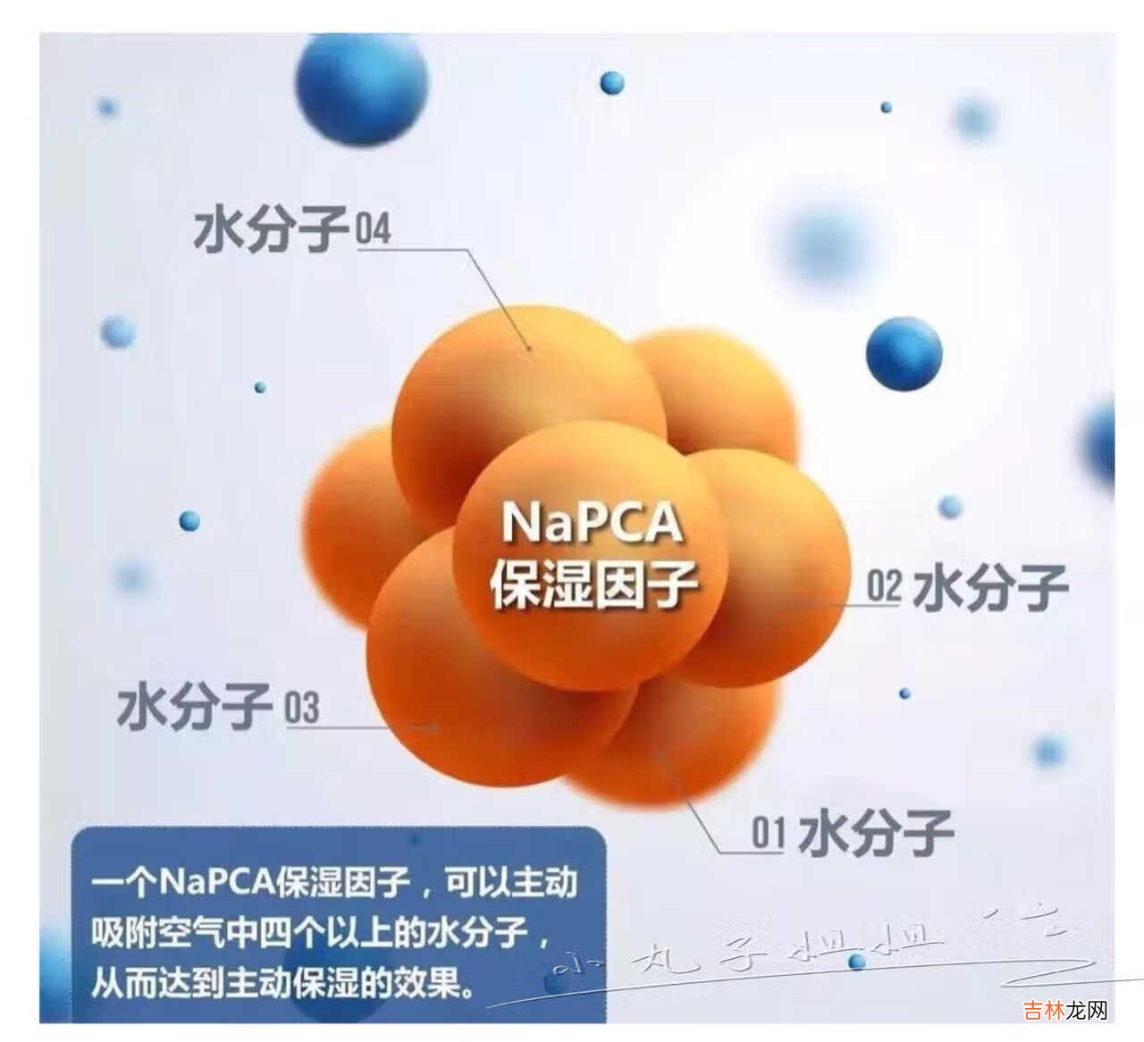 今天来说一下补水神器——NaPCA滋润喷雾液 首先来说说什么是NaPCA