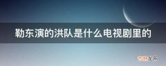 勒东演的洪队是什么电视剧里的?