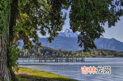 打野最快的英雄排行-lol打野英雄排名