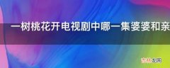 一树桃花开电视剧中哪一集婆婆和亲家母打起来了?