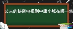 丈夫的秘密电视剧中康小城在哪一集买房子?