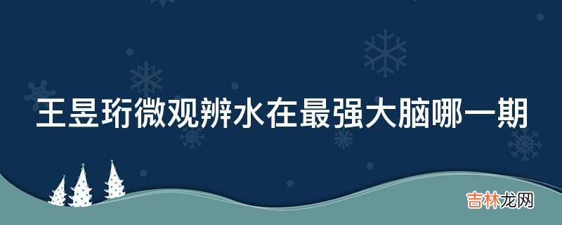 王昱珩微观辨水在最强大脑哪一期?