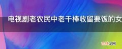 电视剧老农民中老干棒收留要饭的女人是哪集?