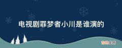 电视剧罪梦者小川是谁演的?