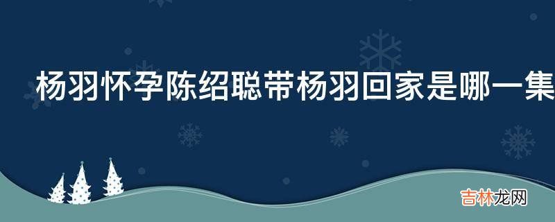 杨羽怀孕陈绍聪带杨羽回家是哪一集?