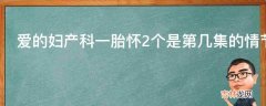 爱的妇产科一胎怀2个是第几集的情节?