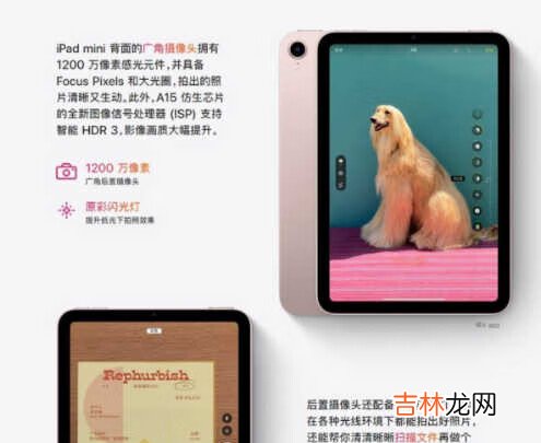 iPadmini6和iPadmini5哪个好_iPadmini6和iPadmini5区别