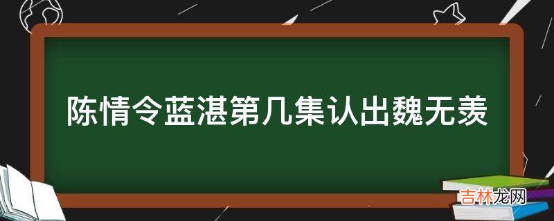 陈情令蓝湛第几集认出魏无羡?