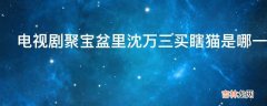 电视剧聚宝盆里沈万三买瞎猫是哪一集?