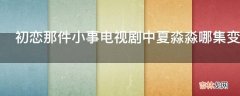 初恋那件小事电视剧中夏淼淼哪集变漂亮的?