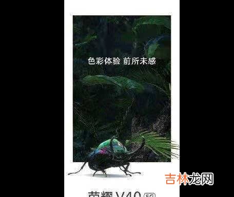 荣耀v40发布会时间_荣耀v40发布会直播