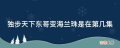 独步天下东哥变海兰珠是在第几集?