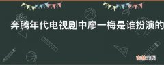 奔腾年代电视剧中廖一梅是谁扮演的?