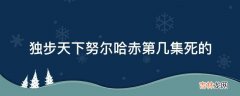 独步天下努尔哈赤第几集死的?