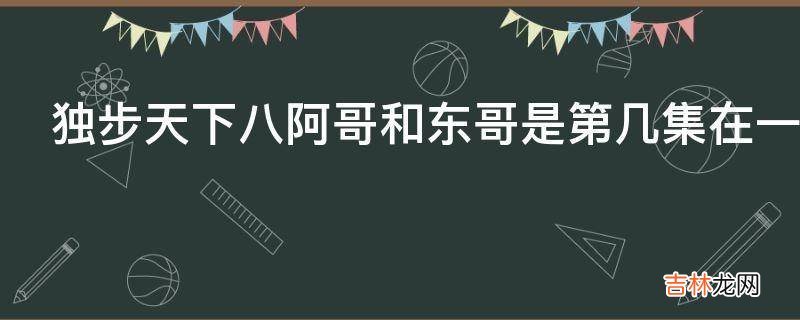 独步天下八阿哥和东哥是第几集在一起的?