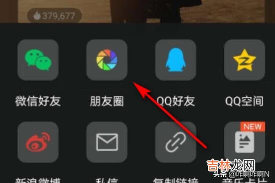 如何分享音乐到微信朋友圈（音乐分享到朋友圈无播放键)