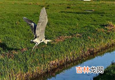 綦江横山最适合重庆的避暑胜地 重庆避暑胜地排名