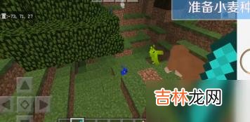 我的世界如何养鸟（我的世界怎么造飞机还能飞)