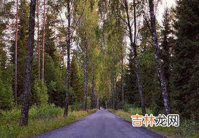 2020电脑cpu性能天梯图-组装电脑?