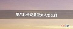 塞尔达传说盖亚大人怎么打（塞尔达盖亚队长怎么打)