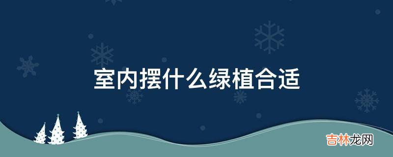 室内摆什么绿植合适?