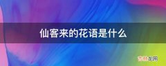 仙客来的花语是什么?