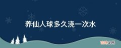 养仙人球多久浇一次水?