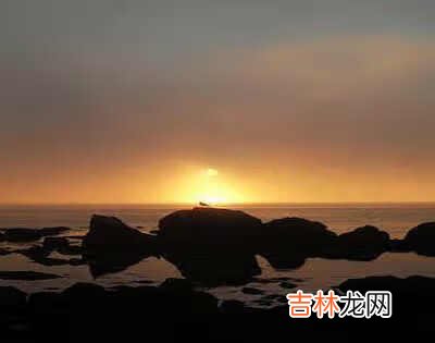 新股中签了什么时候扣款 中签扣款时间