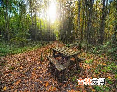 新股中签了什么时候扣款 中签扣款时间