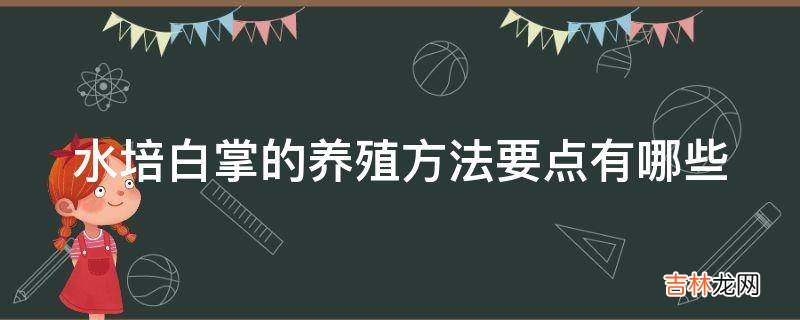 水培白掌的养殖方法要点有哪些?
