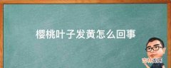 樱桃叶子发黄怎么回事?