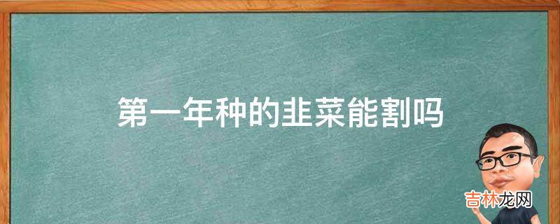 第一年种的韭菜能割吗?