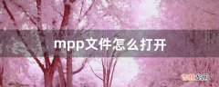 mpp文件怎么打开（mpp文件用什么软件编辑)