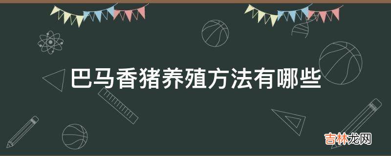 巴马香猪养殖方法有哪些?