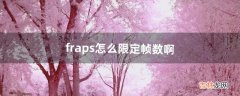 fraps怎么限定帧数啊，我要把GTA4的帧数限定在30帧，新人还不会用，求教