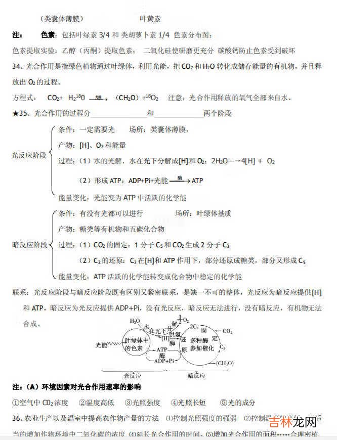 《高中生物必修一知识点重点》