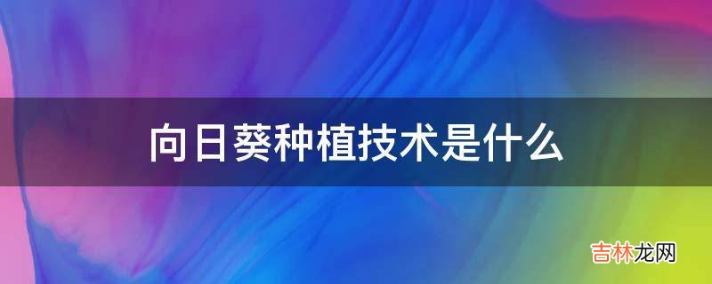 向日葵种植技术是什么?