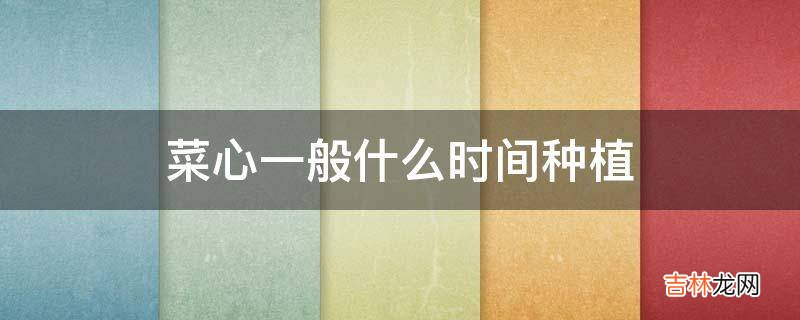 菜心一般什么时间种植?