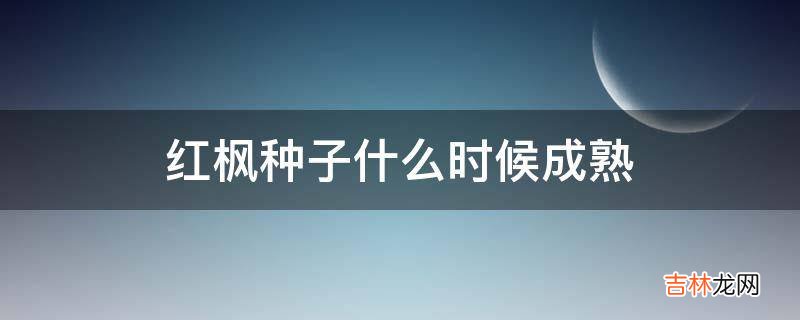 红枫种子什么时候成熟?