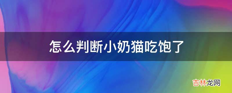 怎么判断小奶猫吃饱了?