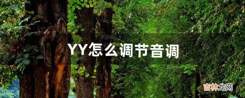 YY怎么调节音调（yy频道怎么调高音质)