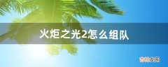 火炬之光2怎么组队（火炬之光2如何局域网联机)