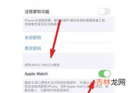 iphone13支持戴口罩解锁吗_口罩面部解锁设置