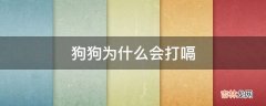 狗狗为什么会打嗝?